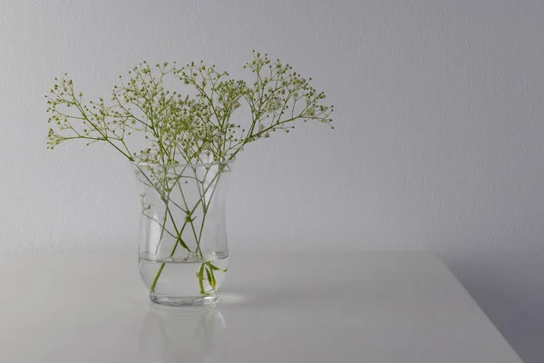 Weiße Blumen Glasvase Und Kopierraum Auf Weißem Hintergrund Blume Pflanze — Stockfoto