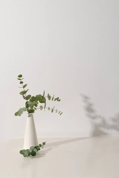 Beyaz Vazoda Yaprakları Olan Yeşil Bitki Dallarının Dikey Görüntüsü Beyaz — Stok fotoğraf
