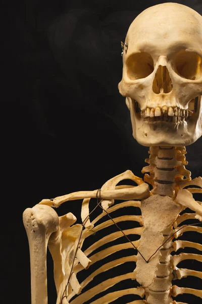 Siyah Zemin Üzerinde Fotokopi Alanı Olan Plastik Iskelet Dumanın Dikey — Stok fotoğraf