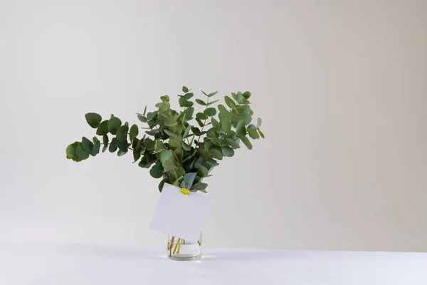 白い背景にコピースペースが付いている葉と白いカードが付いている緑の植物のねじれ そして色のコンセプト — ストック写真