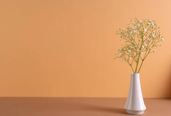 Beyaz Vazodaki Beyaz Çiçekler Turuncu Arka Plandaki Boşluğu Kopyalamak Çiçek — Stok fotoğraf