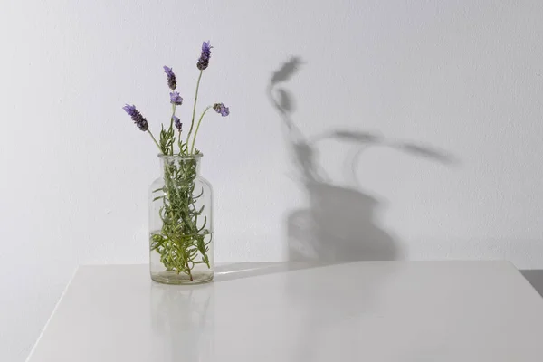 Flores Lavanda Roxas Vaso Vidro Espaço Cópia Fundo Branco Conceito — Fotografia de Stock