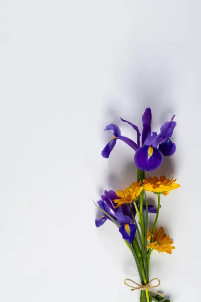 Beyaz Arkaplanda Kopyalama Alanı Olan Mor Sarı Çiçeklerin Dikey Görüntüsü — Stok fotoğraf