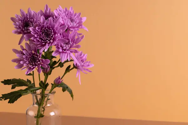 Фиолетовые Цветы Стеклянной Вазе Копировать Пространство Оранжевом Фоне Цветок Растение — стоковое фото