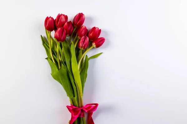 Manojo Tulipanes Rojos Con Espacio Para Copiar Sobre Fondo Blanco — Foto de Stock