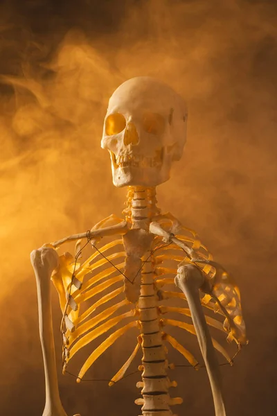 黒い背景のコピースペースでプラスチック骨格と煙の垂直画像 ハロウィーン お祝いのコンセプト — ストック写真