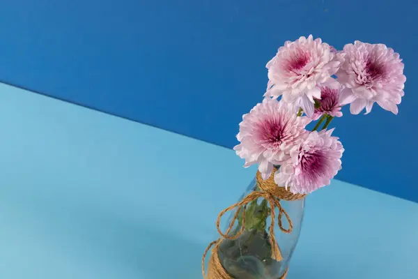 Flores Cor Rosa Vaso Vidro Espaço Cópia Fundo Azul Conceito — Fotografia de Stock