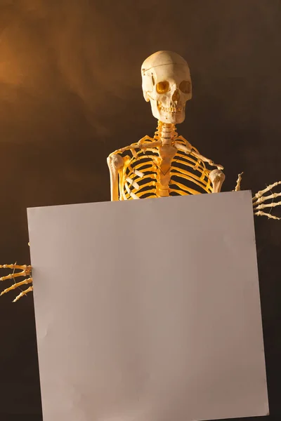 Vertical Image Plastic Skeleton Holding Paper Sheet Smoke Copy Space — Stock Photo, Image