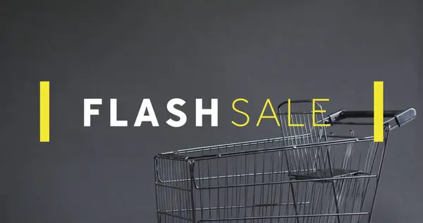 Bild Des Flash Verkaufstextes Über Einkaufswagen Verkauf Einzelhandel Cyber Shopping — Stockfoto