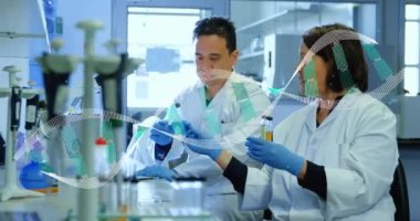 DNA sarmalının farklı bilim adamlarının laboratuvarda örnekleri tartışması üzerine animasyonu. Dijital bileşik, çoklu maruz kalma, araştırma, anatomi, molekül, takım çalışması, tıbbi ve sağlık konsepti.