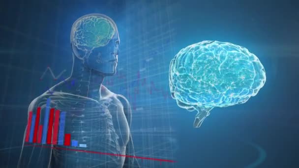Animering Statistiska Data Bearbetning Över Människokroppen Modell Och Hjärnan Spinning — Stockvideo