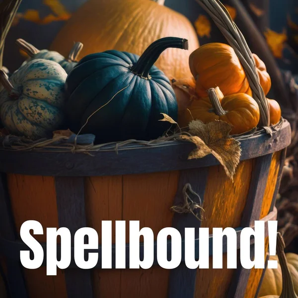 Composite Spellbound Text Halloween Pumpkins Basket Halloween Tradition Celebration Concept — Stock Photo, Image