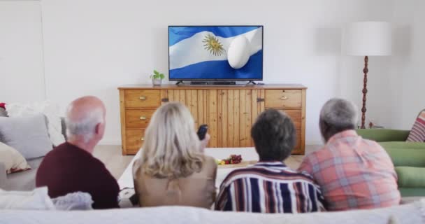 Diversos Amigos Seniores Assistindo Com Bola Rugby Bandeira Argentina Tela — Vídeo de Stock