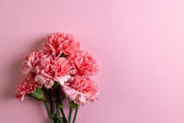 Pembe arka planda fotokopi alanı olan pembe karanfil demeti. Çiçek, bitki, şekil, doğa ve renk kavramı.