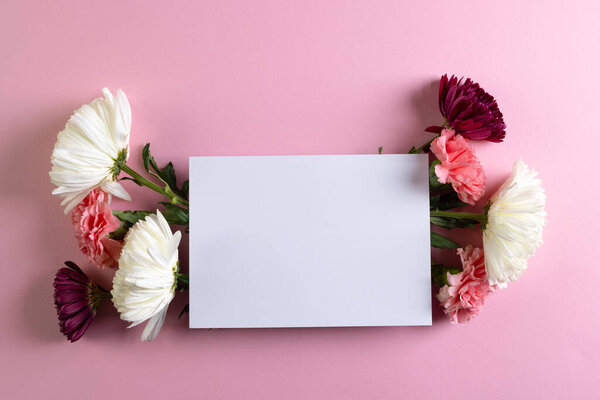 White, pink and purple flowers with white card and copy space on pink background. Flower, plant, shape, nature and colour concept.
