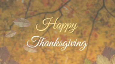 Mutlu şükran günü metinlerinin animasyonu ve sonbahar yaprakları alçak açılı ağaç manzarasına karşı yüzüyor. Şükran Günü ve Sonbahar sezonu konsepti