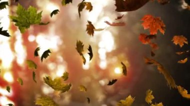 Sonbahar yapraklarının animasyonu orman parkının bulanık görüntüsüne karşı fotokopi uzayı ile düşüyor. Sonbahar ve sonbahar mevsimi konsepti