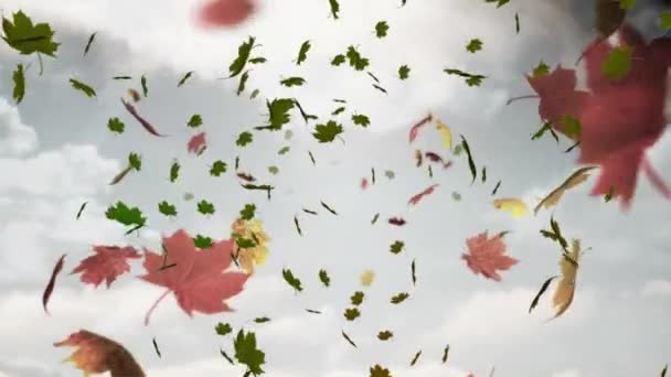 在灰蒙蒙的天空中 秋天的叶子在云彩中飘扬 秋季和秋季季节概念 — 图库视频影像
