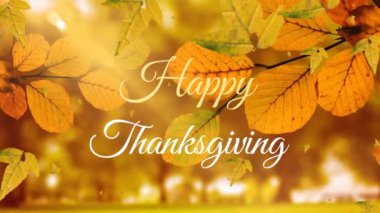 Mutlu Şükran Günü metinlerinin animasyonu, sonbahar yaprakları parktaki ağaç dalına çarpıyor. Şükran Günü ve Sonbahar sezonu konsepti