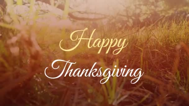 动漫的感恩文字横幅 映衬着公园里的草木近景 感恩节和秋季的概念 — 图库视频影像