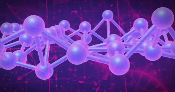 分子構造のアニメーションと紫色の背景に対するデータ処理 医学研究 科学技術コンセプト — ストック動画