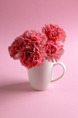 Pembe arka planda fotokopi alanı olan beyaz bardaktaki pembe karanfil çiçeklerinin dikey görüntüsü. Çiçek, bitki, şekil, doğa ve renk kavramı.