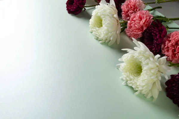 Белые Розовые Цветы Пространством Копирования Зеленом Фоне Цветок Растение Форма — стоковое фото