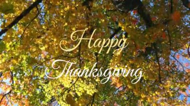 Mutlu şükran günü metinlerinin animasyonu, sonbahar yaprakları ağaçların ve gökyüzünün alçak açısına doğru düşüyor. Şükran Günü ve Sonbahar sezonu konsepti