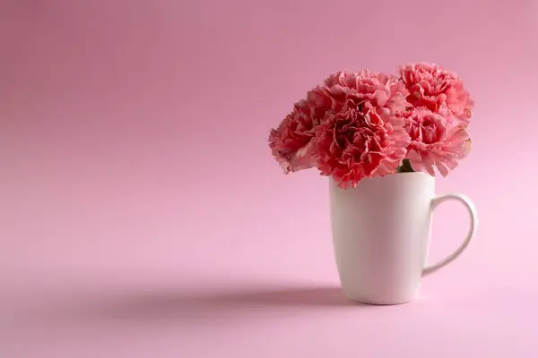 Bunch of pink carnation flowers in white mug with copy space on pink background. Flower, plant, shape, nature and colour concept.