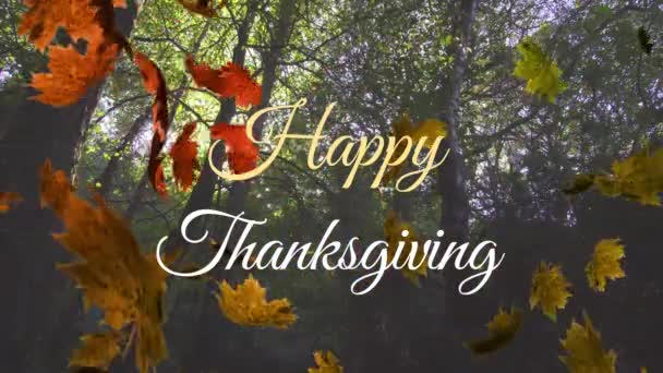 Animace Šťastného Díkůvzdání Textu Podzimní Listí Padající Proti Nízkému Úhlu — Stock video