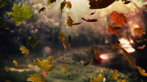 Анимация Осенних Листьев Падающих Размытый Вид Лесопарка Копировальным Пространством Концепция — стоковое видео