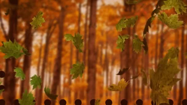 Анимация Осенних Листьев Плавающих Деревьях Парке Копировальным Пространством Концепция Сезона — стоковое видео