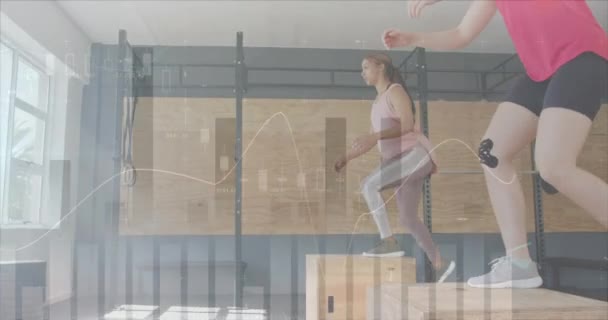 在体操馆 不同的妇女跳上格子交叉训练图上的数据处理动画 数字接口和数字视频技术 — 图库视频影像