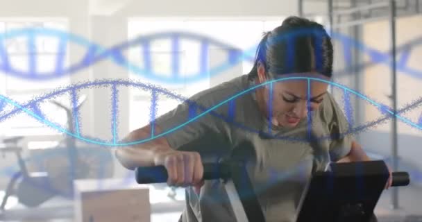 Dnaのストランドのアニメーションは ジムで楕円形のトレーニングで白人女性を越えます フィットネス エクササイズ データ 遺伝子 テクノロジーがデジタル生成されたビデオ — ストック動画