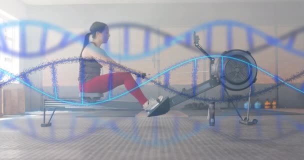 ジムのローイングマシンで白人女性のトレーニングの上にDnaストランドのアニメーション フィットネス エクササイズ データ 遺伝子 テクノロジーがデジタル生成されたビデオ — ストック動画