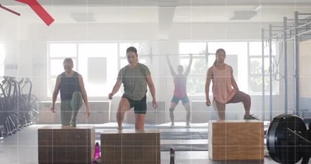 在体操馆对跳上格子的不同妇女的图解处理数据进行动画制作 数字接口和数字视频技术 — 图库视频影像