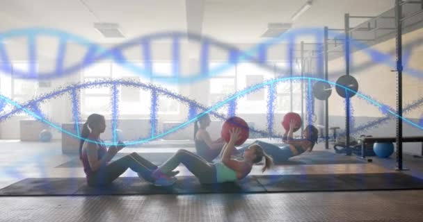 Анимация Нитей Днк Различных Женщин Тренирующихся Парах Медицинскими Мячами Спортзале — стоковое видео