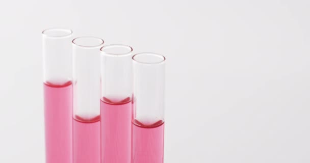 赤い液体が付いているガラス実験室の試験管のビデオおよび白い背景のスペースをコピーして下さい 化学のコンセプト — ストック動画