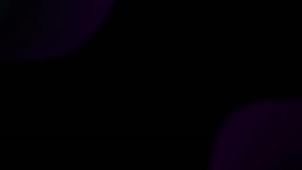 黑色背景上紫色烟雾图案的动画 数字生成的全息图 设计和抽象概念 — 图库视频影像