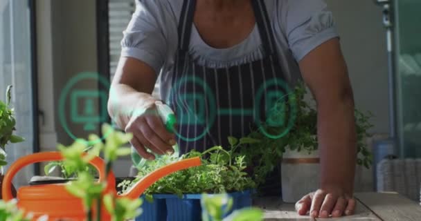 Анимирование Цифровых Технологий Над Бирасовой Женщиной Кухне Глобальный Компьютерный Цифровой — стоковое видео