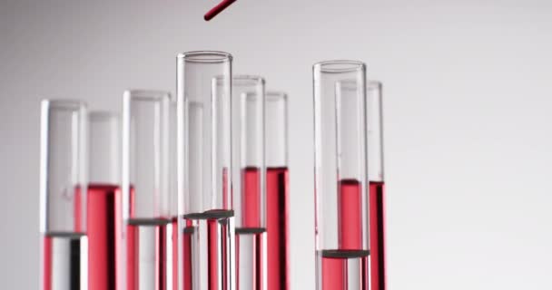 玻璃实验室试管和带红色液体的管道的视频 并复制白色背景的空间 研究和化学概念 — 图库视频影像