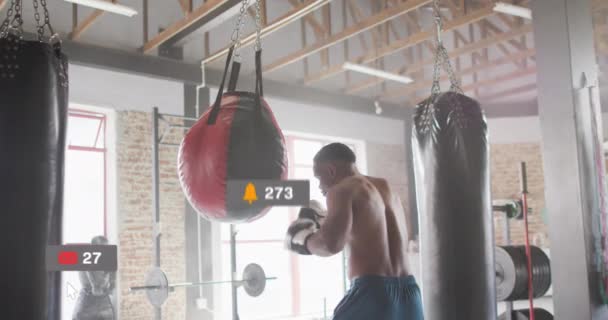 Animering Flera Anmälningsfält Afrikansk Amerikansk Boxare Tränar Slag Slagsäck Digital — Stockvideo
