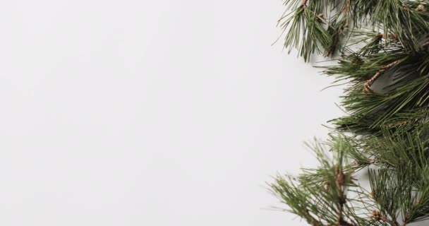 ホワイトバックグラウンドのコピースペースを備えたファイアツリーのブランチのビデオ クリスマス お祝いのコンセプト — ストック動画