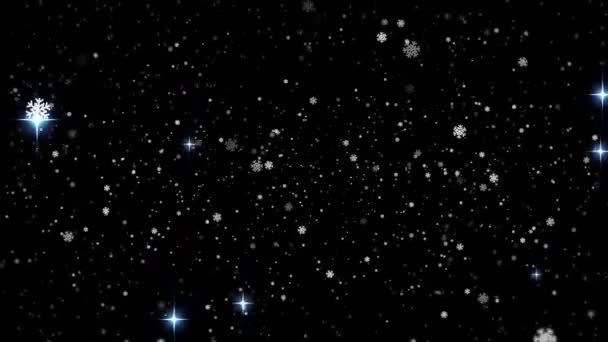 Animacja Świątecznego Śniegu Gwiazd Spadających Czarne Tło Boże Narodzenie Uroczystość — Wideo stockowe