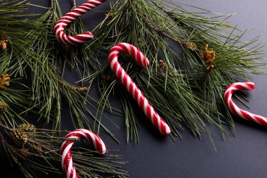 Noel şeker kamışları ve Noel ağacı süslemeleri. Gri arka planda fotokopi alanı var. Noel, gelenek ve kutlama konsepti.