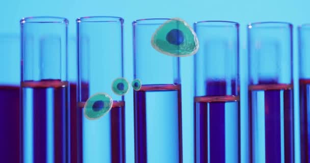 Animation Weißer Blutkörperchen Über Reagenzgläsern Labor Auf Blauem Hintergrund Wissenschaft — Stockvideo