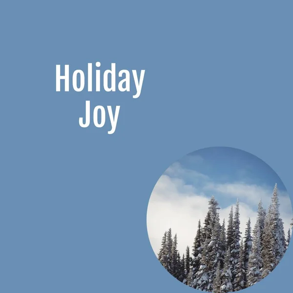 Composto Texto Alegria Férias Sobre Cenário Inverno Inverno Natal Estações — Fotografia de Stock