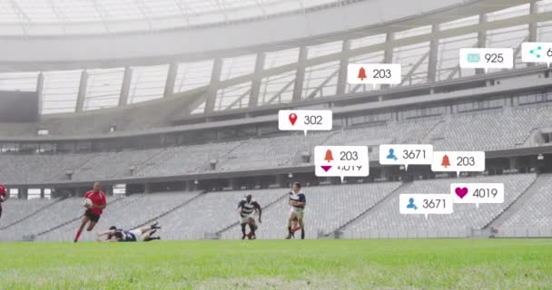 Animering Flera Anmälan Barer Över Olika Rugby Spelare Spelar Övningsmatch — Stockvideo