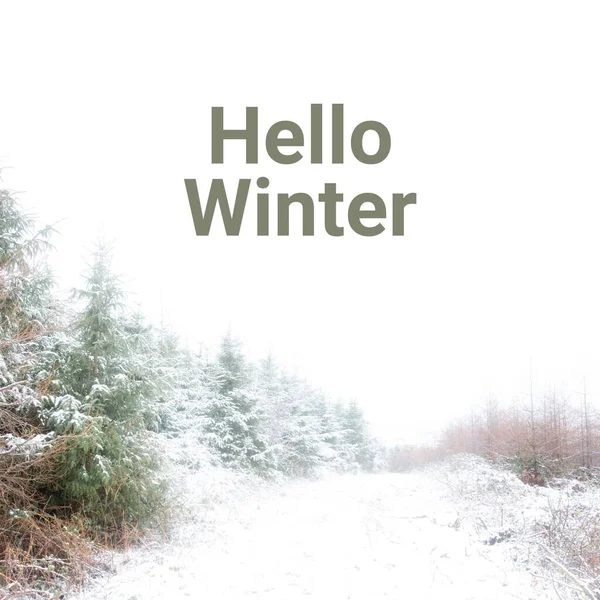 Composite of hello winter text over winter scenery. December, christmas, tradition, celebration and winter concept digitally generated image.