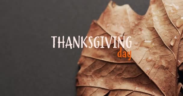 Animacja Dziękczynnego Tekstu Nad Jesiennym Liściem Szarym Tle Święto Dziękczynienia — Wideo stockowe